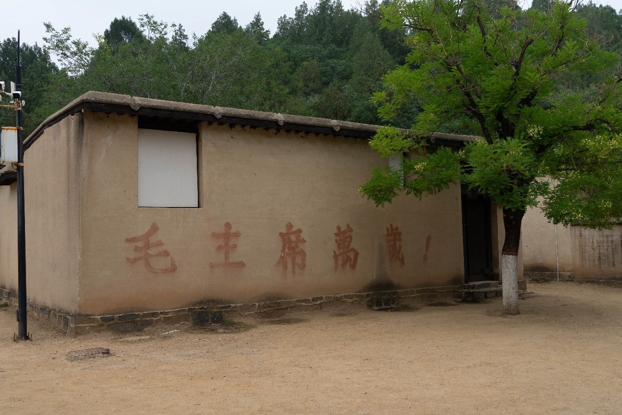 图片7.jpg